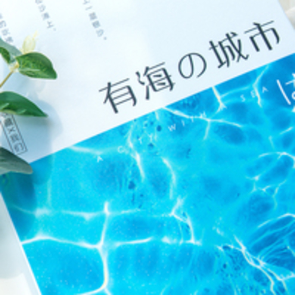 （微商）BlingBling锁线照片书26P（绒照片纸）